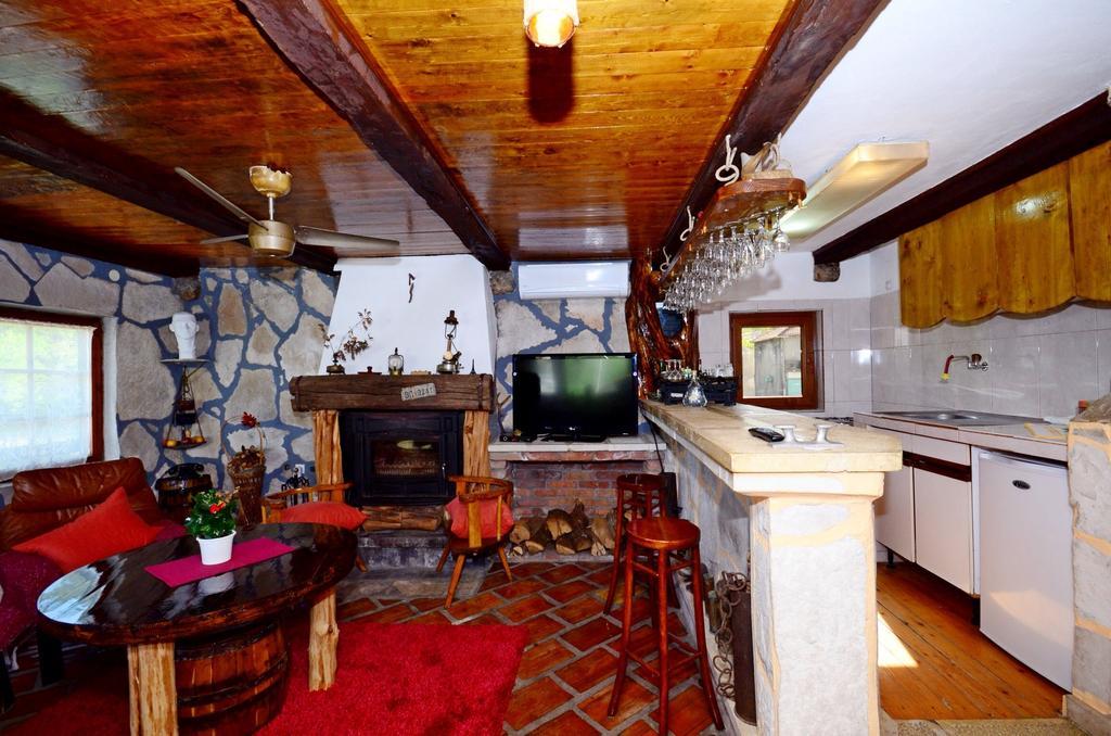 Apartment Jovicevic Rijeka Crnojevića Rum bild
